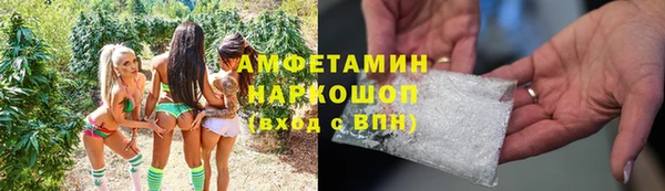 PSILOCYBIN Бронницы